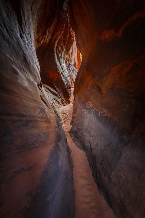 A Zebra E O Tunel De Fenda Escalante Ut