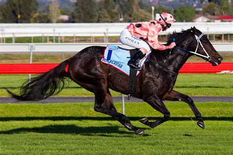 Black Rider Sportingbet