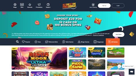 Bogof Bingo Casino Review