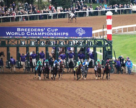 Breeders Cup Maquina De Fenda