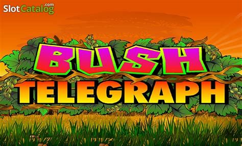 Bush Telegraph Leovegas