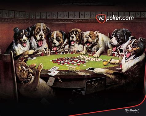 Caes De Poker
