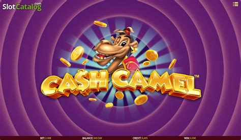 Cash Camel 1xbet