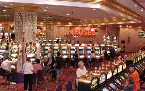Casino Escolas Na Florida