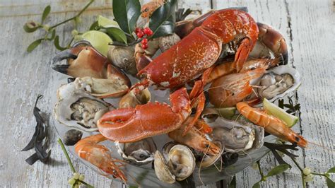 Casino Tudo O Que Voce Pode Comer Frutos Do Mar