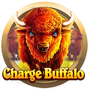 Charge Buffalo Review 2024