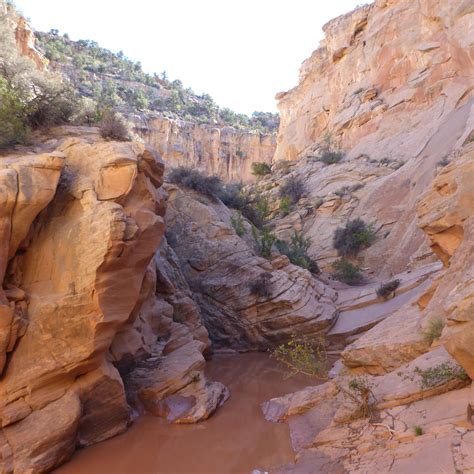 Cottonwood Estreita Slot Canyon