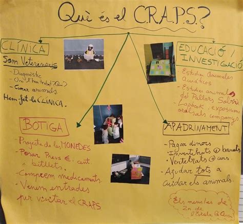 Craps Escolas