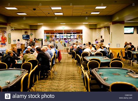 Daytona Greyhound Sala De Poker