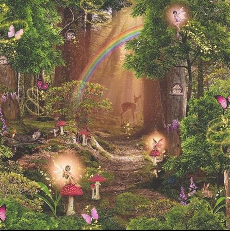 Fairy Forest Brabet