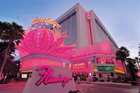 Flamingo Casino De Jantar