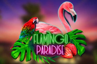 Flamingo Paradise Betano