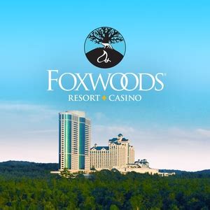 Foxwoods Poker Torneios De Agosto De 2024