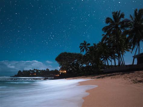 Hawaiian Night 1xbet