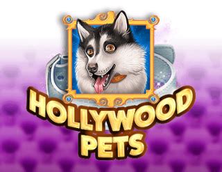 Hollywood Pets Betano