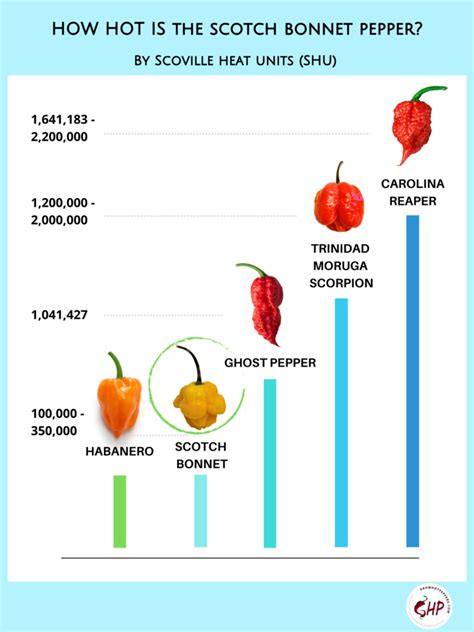 Hot Pepper Parimatch