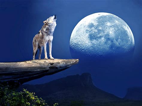 Howling At The Moon 1xbet