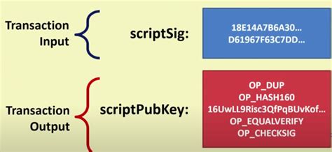 Jogo Bitcoin Script