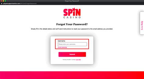 Lady Spin Casino Login