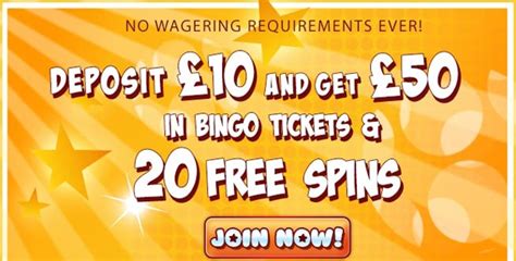 Loadsa Bingo Casino Download