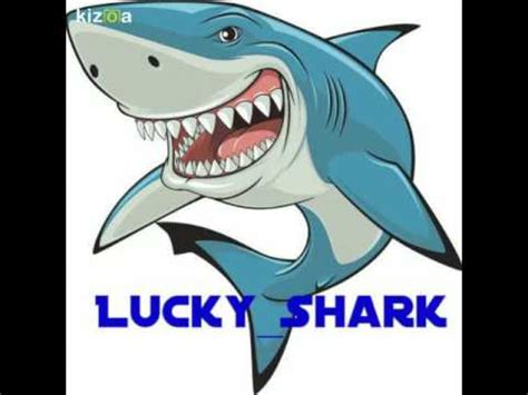Lucky Shark Review 2024
