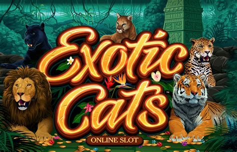 Play Exotic Cats Slot