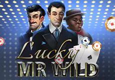 Play Lucky Mr Wild Slot