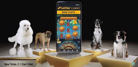 Puppy Love Betfair