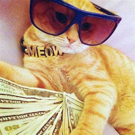 Rich Kittens Betsson