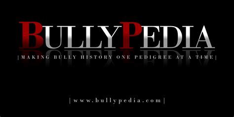 Roleta Bullypedia