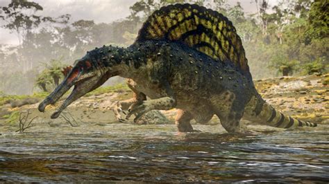 Spinosaurus Betano