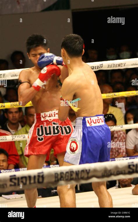 Thai Boxing Betsson