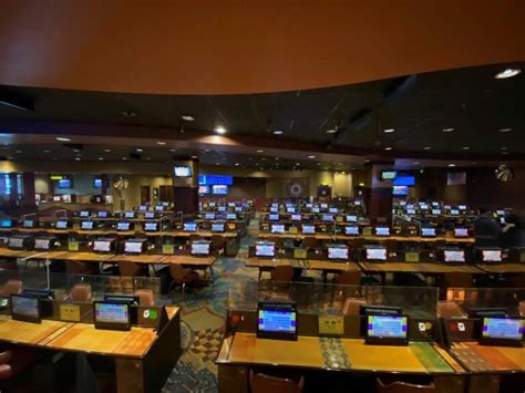 Washington Casinos Que Permitem 18 Anos De Idade