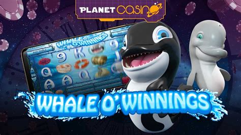 Whale O Winnings Bwin