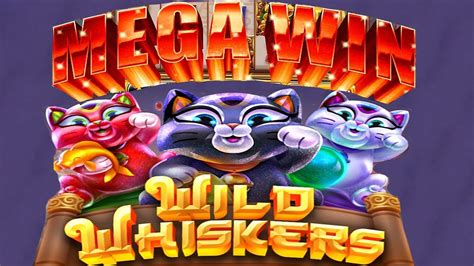 Whisker Wins Casino Aplicacao