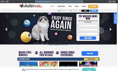 Whisker Wins Casino Ecuador